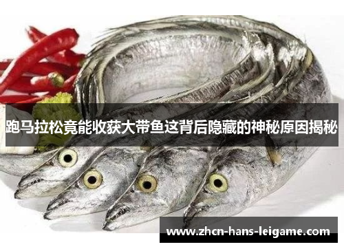 跑马拉松竟能收获大带鱼这背后隐藏的神秘原因揭秘 跑马拉松竟能收获大带鱼这背后隐藏的神秘原因揭秘