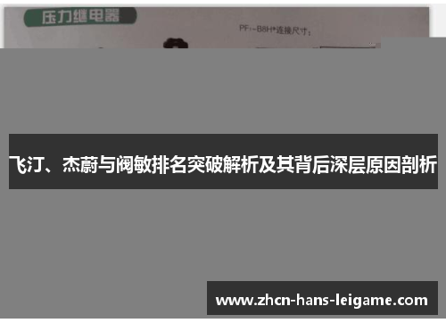 飞汀、杰蔚与阀敏排名突破解析及其背后深层原因剖析