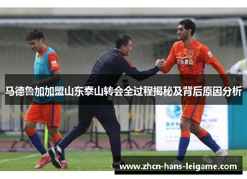 马德鲁加加盟山东泰山转会全过程揭秘及背后原因分析