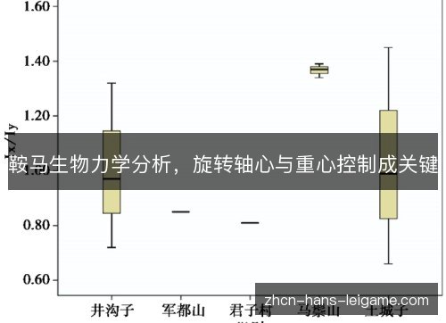 鞍马生物力学分析，旋转轴心与重心控制成关键
